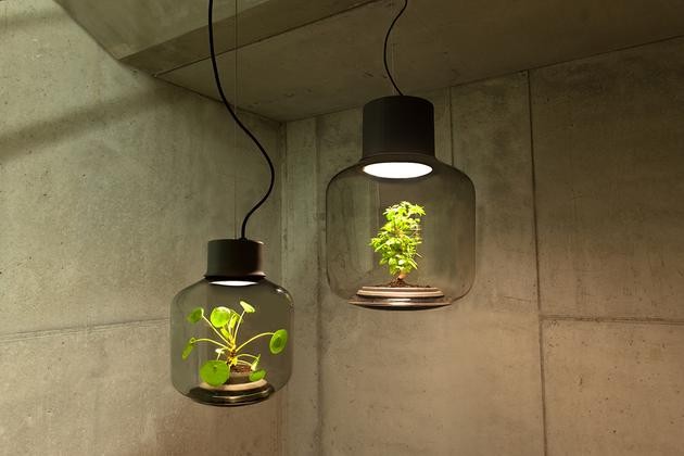 將植物放在一款密閉的LED燈具中能持續(xù)生長嗎？